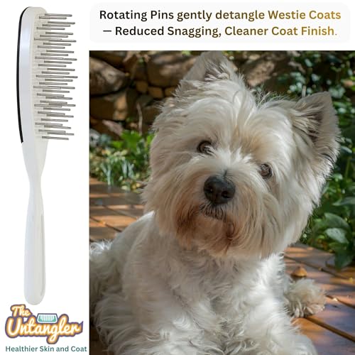 Pet Brush with Rotating Stainless Steel Teeth for Pain-Free Brushing and Cleaning