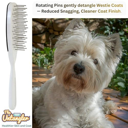 Pet Brush with Rotating Stainless Steel Teeth for Pain-Free Brushing and Cleaning