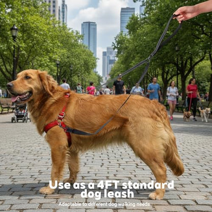 Two Point Control Dog Leash for No Pull Training - Reflective Training Leash for Dogs that Pull with Swivel Clip - Anti Pull Dog Harness for Medium Large Dogs