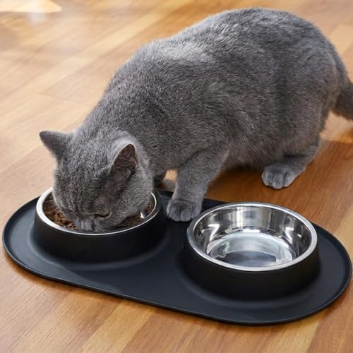 Double Stainless Steel Cat Food Bowls with Non-Slip Silicone Mat, Double Pet Feeder for Food & Water, Spill Proof Cat Dish Set for Small Medium Dogs & Cats, 1.5 Cups Each Bowl, Black Mediun - color: Black