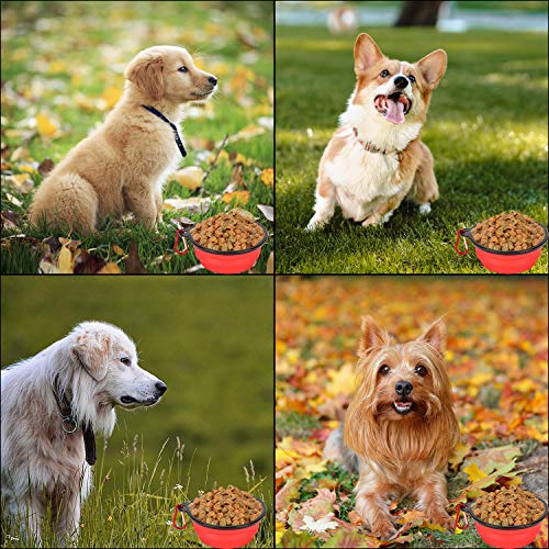 Pack of 6 Large Size Collapsible Dog Bowl, Food Grade Silicone BPA Free, with Carabiner Clip Foldable Expandable Cup Dish for Pet Cat Food Water Feeding Portable Travel Bowl (Blue & Red) - size: Pack of 6