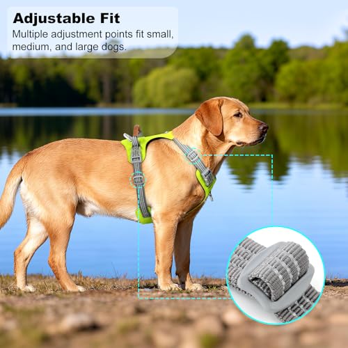 No Pull Dog Harness – Adjustable Reflective Nylon Vest for Small Medium Large Dogs, Escape Proof Training Harness with Leather Control Handle, Lightweight Aluminum Hardware (Green, M) - color: Green, size: M