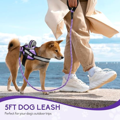 Service Dog Vest Harness and Leash Set, Animire in Training Dog Harness with 10 Dog Patches, Reflective Dog Leash with Soft Padded Handle for Small, Medium, Large, and Extra-Large Dogs - color: Purple, size: XXS