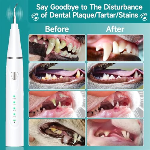 Plaque Remover for Teeth, Pet Ultrasonic Cleaner, Dog Plaque and Tartar Remover with LED Light, Dog Teeth Cleaning Dental Care Kit for Tartar and Stains, Suitable for Dogs and Cats (White) - color: White