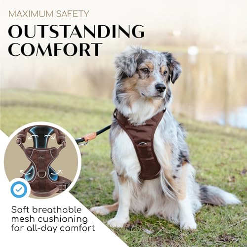 Freudentier No Pull Dog Harness with Handle – Soft Breathable Mesh Padding, Front & Back Clips, Adjustable & Reflective Front Range Harness for Small, Medium & Large Dogs (Chocolate, L) - color: Chocolate, size: L