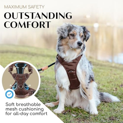 Freudentier No Pull Dog Harness with Handle – Soft Breathable Mesh Padding, Front & Back Clips, Adjustable & Reflective Front Range Harness for Small, Medium & Large Dogs (Chocolate, L) - color: Chocolate, size: L