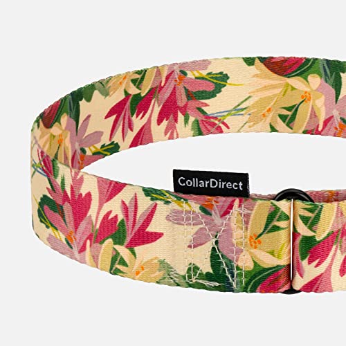 CollarDirect Martingale Dog Collar Heavy Duty Nylon Slip Collars for Small Medium Large Dogs [Nylon, Patterned, Toffee, L, 15"-20"] - color: Toffee, size: Large (Neck Size 15"-20")