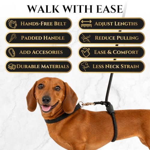 Hands-Free No-Pull Dog Leash | Durable Adjustable Training Lead for Dogs | Calm Command Outdoor Activity Leash for Active Pet Lifestyle Breeds | Ergonomic Handle - Small (25 lbs and Under) - size: Small (25lbs and Under)