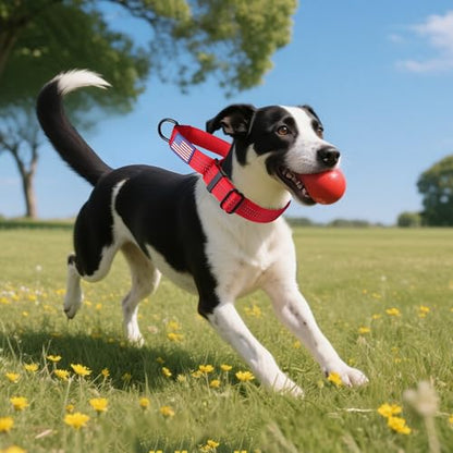 Martingale Dog Collar Quick Release Buckle No Pull Reflective Non-Slip for Medium Large Dogs Training (Red, Large) - color: Red, size: Large (Pack of 1)