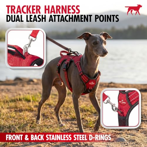 Tuff Pupper Escape Proof No Escape Dog Harness | 5 Point Adjustable Fit Harness for Dogs | Padded Dog Harnesses | Handle Dog Lift Harnesses - color: Midnight Blue, size: Large: 27-32 Inch Chest
