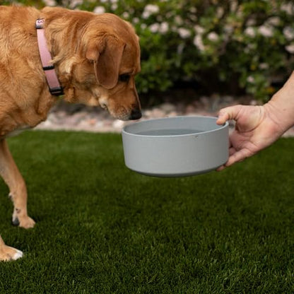 Loving Pets - Dolce Bamboo - Eco-Friendly Pet Bowls & Dishes for Dog, Cats, Puppy Food and Water Dish -Sustainable and Dishwasher Safe, Made with Real Bamboo (Large, Slate-Grey) - color: Slate Grey, size: Large Dish