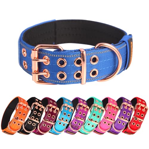 Heavy Duty Tactical Dog Collar with Neoprene Padded and Metal Buckle, Reflective Nylon for Medium to Large Dogs(Blue, Medium) - color: Blue, size: Medium (Pack of 1)