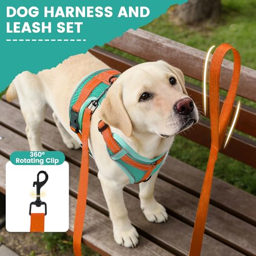 No-Pull Dog Harness with Dog Leash Breathable Mesh Adjustable Soft Padded Pet Vest Reflective for Small/Medium/Large Dogs Walking, Training - color: Blue, size: M