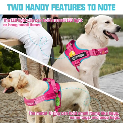 AUROTH Dog Harness and Leash Set, Soft Padded Service Dog Vest with 5.25FT Dog Leash, No Choke, Easy On Pet Vest, Adjustable Reflective No Pull Dog Harness Small Sized Dog, Easy Walking and Training - color: Rose Red, size: Small