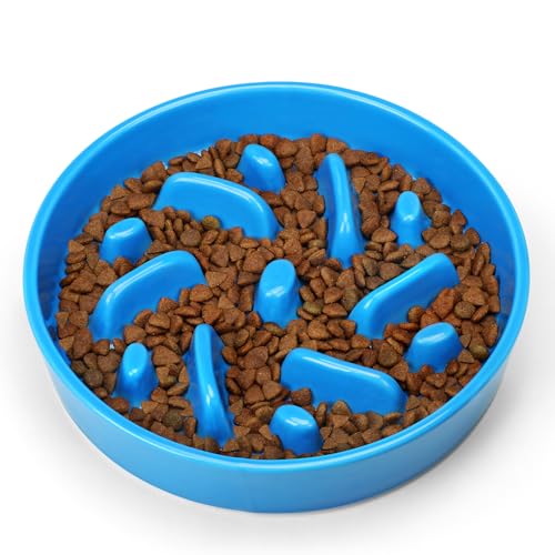 Ceramic Slow Feeder Dog Bowl, 2 Cups Dog Food Bowls for Small, Medium, and Large Breed, Anti-Slip Puzzle Food Dish to Slow Down Eating (Blue, 2 Cups) - color: Maze - Blue