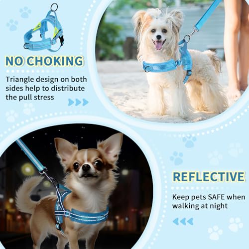 Lukovee No Pull Dog Harness and Leash Set, Soft Padded Small Dog Harness, Neck & Chest Adjustable Reflective Vest Puppy Harness with 4ft Lightweight Anti-Twist Dog Leash for Small Dogs (LBL, XXS) - color: Light Blue, size: XXS ( Chest 11.5'' ~ 15'')
