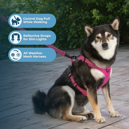 Voyager Dog Harness Dual Leash Attachment No-Pull Control Adjustable Soft but Strong Pet Harness for Medium and Large Dogs with 3M Reflective Technology, Fuchsia Nylon, M (Chest: 20-25") - color: Fuchsia Nylon, size: M (Chest: 20 - 25")