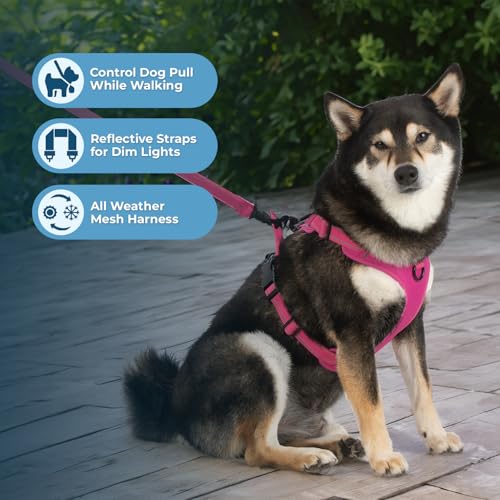 Voyager Dog Harness Dual Leash Attachment No-Pull Control Adjustable Soft but Strong Pet Harness for Medium and Large Dogs with 3M Reflective Technology, Fuchsia Nylon, S (Chest: 16-20") - color: Fuchsia Nylon, size: S (Chest: 16 - 20")