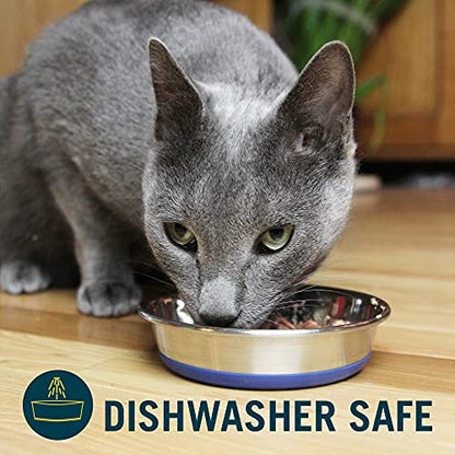 Our Pets DuraPet Stainless Steel Non-Slip (Cat Food Bowl or Water Bowl) (Holds up to 1 Cup of Wet or Dry Food) Easy to Clean | Holds wet or dry meals, easy to rinse clean, grippy base keeps it in place during mealtime, durable everyday feeding dish
