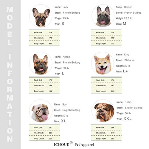 iChoue Dog Cold Weather Coats Reflective Safety Jackets Water Resistant Raincoats All Made Up of High Reflection Fabric Keep Dogs Visible for French English Bulldog Bully Pitbull - Silvery, Small - color: Silver, size: Small ( 5 - 15 lbs )