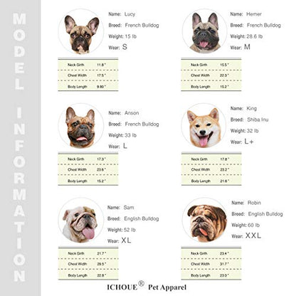 iChoue Dog Cold Weather Coats Reflective Safety Jackets Water Resistant Raincoats All Made Up of High Reflection Fabric Keep Dogs Visible for French English Bulldog Bully Pitbull - Silvery, Small - color: Silver, size: Small ( 5 - 15 lbs )