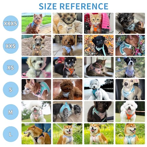 AIITLE Teacup Puppy Harness with Leash - Adjustable Soft Vest with Magic Tape & Reflective Safety Strips, Easy-Put-On for Poodles, Pomeranians - Gym, Hiking, Travel (Blue, S) - color: Blue, size: S(Chest: 13.5 - 15")