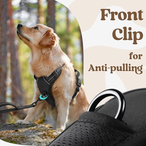 rabbitgoo Dog Harness Small Sized, No Pull Pet Harness with 3 Buckles, Adjustable Soft Padded Vest with Control Handle, Walking Reflective Pet Vest for Small Dogs, Black, S - color: Black, size: Small