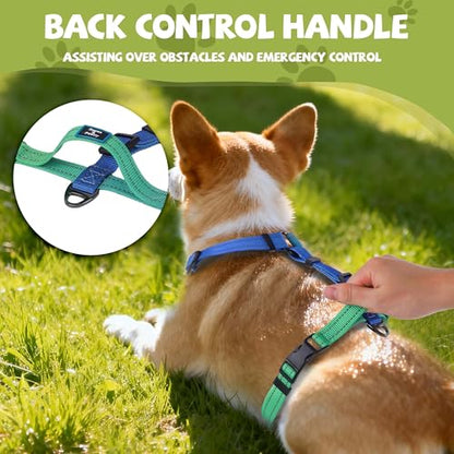 Roses&Poetry Dog Harness Small Sized Dog, 6 Point Adjustable Fit No Pull Harness with Handle for Control and Easy Walking, Reflective Pet Halter Harnesses（Bluegreen-S） - color: BlueGreen, size: S