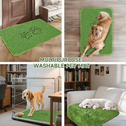 Homimp Washable Pee Pads for Dogs, 1 Pack Super Absorbent Reusable Puppy Pads,Green Long Wool Fake Grass for Potty Training, Upgrade Non-Slip and Leak-Proof,Floor,Couch,Bed and Crate,Green 63"×72" - size: 63"x72"(Pack of 1)
