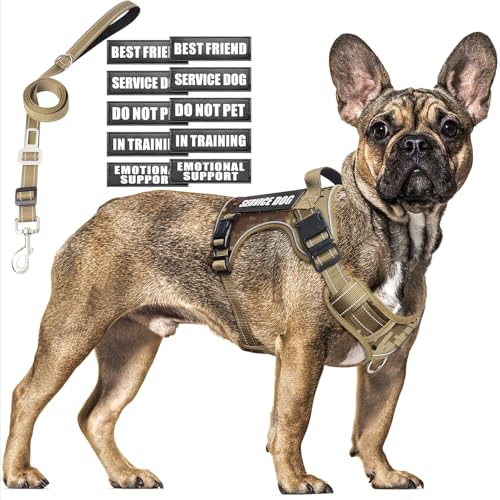 Tactical Dog Harness and Leash Set Medium Sized Dog,Heavy Duty No Pull Service Dog Vest and 10 Patches with Dog Seat Belt,Reflective Adjustable Pet Harness for Training Walking Hiking Camo M - color: Desert Camo, size: Medium