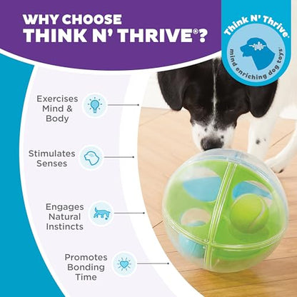 Outward Hound by Nina Ottosson A-Maze Ball Dog Treat Puzzle Ball, Level 2 Intermediate, 8.46" Diameter, Green - color: A-Maze Ball (Blue, Green)