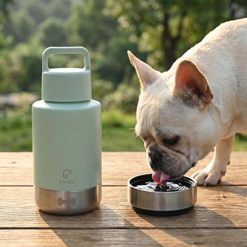 32oz Insulated Dog Water Bottle Dispenser, 3-in-1 Stainless Steel Travel Cup with 2 Detachable Food and Water Bowls, Leak Proof Large Pet Gear, Ideal Gift for Dog Lovers - color: green