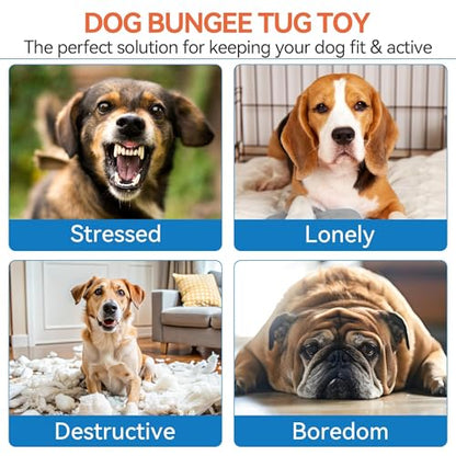 ALL FOR PAWS Dog Bungee Tug Toy, Outdoor Hanging Bungee from Tree for Chase & Tug Fun, Interactive Tug-of-War Toy for Small and Medium Dogs, Bungee Cord with Dog Rope Toy & Soft Chew Toy
