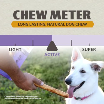 Wild Eats Collagen Chews - Stick Dog Treat for Medium & Large Dogs (10" 3ct, Real Duck) - Long Lasting, Rawhide Free, Low Fat, Grain Free Retriever Rolls - size: 11 Ounce (Pack of 3)