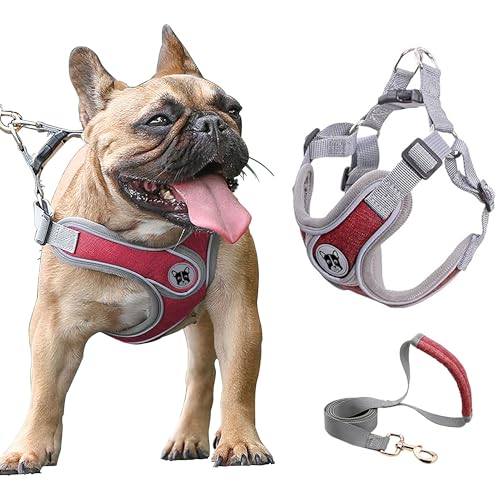 Large Dog Harness and Leash Set,No Pull Adjustable Step in Soft Mesh Vest Harness,Easy Walk Reflective Pet Harness with Padded Handle for Walking Training Small Medium Large Dogs and Cats (Red, L) - color: Red, size: L