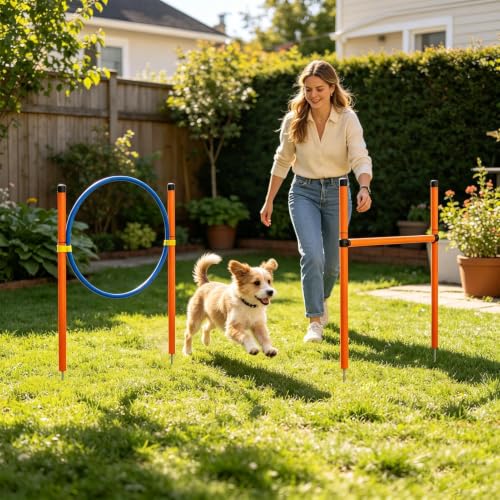 Agility Course for Dogs - Dog Agility Trainer Set with Tunnel, Interactive Training Equipment | Outdoor Exercise and Recreation Gear for Park Garden Beach Field - size: B