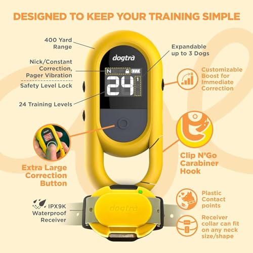 Dogtra CUE Green – E-Collar for Dogs Training Collar with Remote – Training Made Easy for Everyday Dog Owners – Gentle Vibration, Custom Boost, Waterproof, Rechargeable, 400-Yard Range System - color: Gen 1 Green