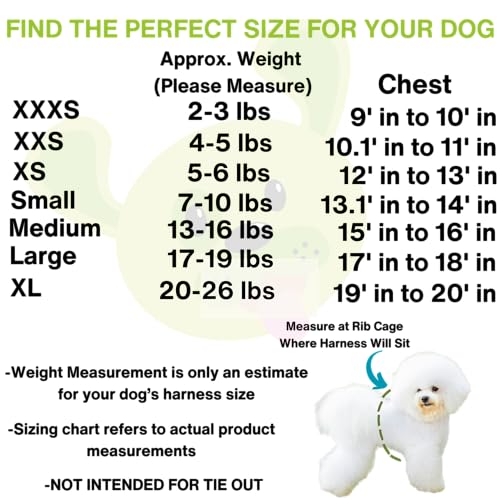 EcoBark Step in Dog Harness - Teacup Dog Harnesses for XXXS, XXS, XS and Small Dog Breeds - Reflective - Adjustable Mini Body Halter Vest - Tiny Soft Mesh Toy Breed (Black and Teal, XXXS) - color: Black and Teal Trim, size: XXXS- 2 to 3 lbs- Chest up to 1