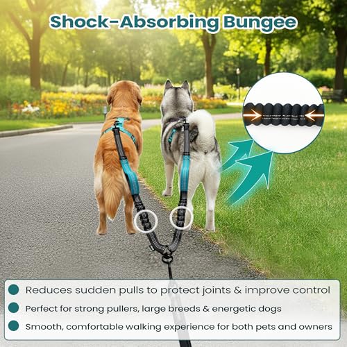 wikiRay Double Dog Leash Coupler for Walking 2 Dogs – No Tangle Dual Dog Splitter with Shock-Absorbing Bungee, Padded Traffic Handles & Reflective Stitching (Sea Green) - color: Sea Green