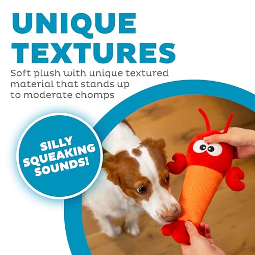 Outward Hound Coated Critterz Dog Toy – Plush & Molded Texture, Squeaky Fetch, Small & Medium Dogs, Lobster, 10.4" - color: Coated Critterz Lobster