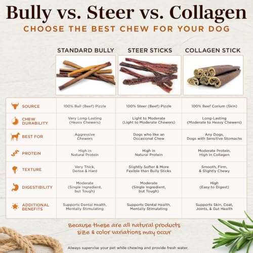 Riley's Steer Bully Sticks for Large to XL Dog Breeds - Odor Free, Single Ingredient Treat - Easily Digestible, 100% Beef Pizzle Sticks for Dogs - 12", 5ct