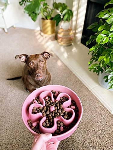 LE TAUCI Slow Feeder Dog Bowls Ceramic, 1.5 Cups Dog Food Bowl, Puppy Slow Feeder Dish for Fast Eaters,Pink Bloom - color: Pink Bloom, size: M-1.5 Cups