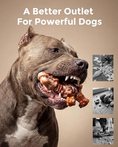 DinoBone 2-Pack Tough Dog Chew Toys for Aggressive Chewers, Rock-Hard Nylon Dinosaur Bones for Large Dogs 20–90 lbs, Almost Indestructible Dog Toys, Helps Redirect Destructive Chewing, Bacon Flavor