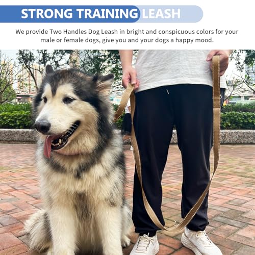 Strong Heavy Duty Dog Leash - 5ft Reflective Nylon Training Leash with Soft Padded Double Handle & Auto Lock Frog Clip - Safety Traffic Control for Large Medium Small Dogs No Pull Walk Khaki,4ft - color: Khaki, size: 4FT x 1" x 2.8MM