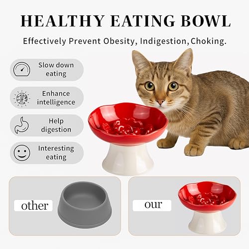 Ceramic Slow Feeder Bowl for Cats and Small Dogs, Elevated Tilted Pet Food Dish, Whisker Friendly Anti-Vomit Design, Heavy Stable Base, Dishwasher Safe， 5 Colors Options (Ruby Red) - color: Ruby Red