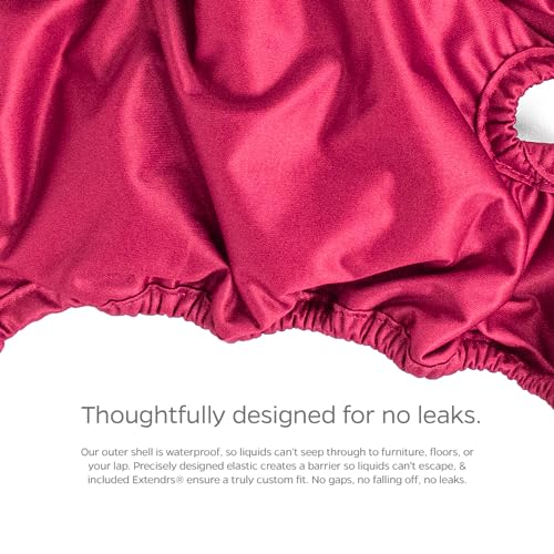 Pet Parents® Washable Dog Diapers (3pack) + Extendrs® of Durable Doggie Diapers, Premium Dog Diapers Female (Medium, Princess) - size: Medium (14-20")