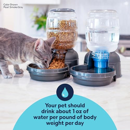 Petmate Replendish Automatic Dog Water Dispenser Gravity Pet Waterer with Microban Protection Base, 100% BPA Free - 1 Gallon, Wide Mouth Bowl, with 2 Extra Filters - size: Small