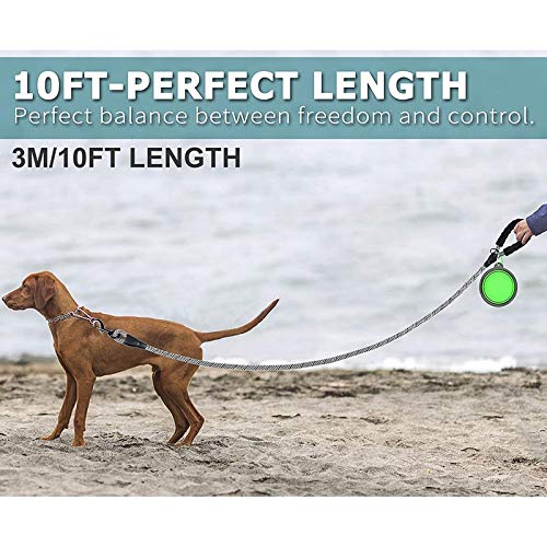 Heavy Duty Dog Leash Rope Comfortable Padded Handle Reflective Pet Leashes For Medium Large Dogs Walking Training Hiking White