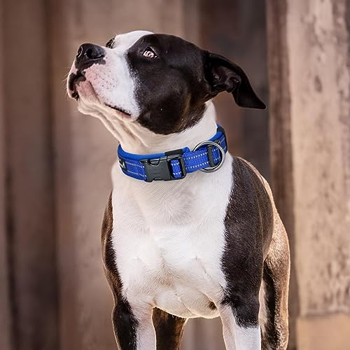 EXCELLENT ELITE SPANKER Reflective Dog Collar Classic Soft Padded Breathable Nylon Adjustable Pet Collar with Quick Release Buckle for Boy Girl Male Female Small Medium Large Dogs Training(Black-S) - color: Black, size: S
