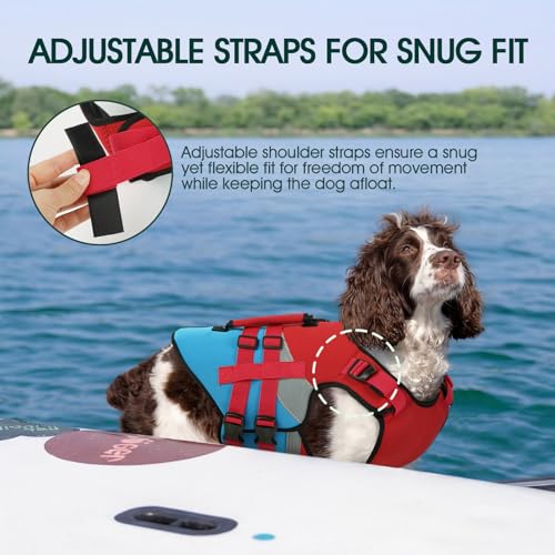 Kuoser Dog Life Jacket with Reflective Strips, High Visibility Dogs Swim Vest with Rescue Handle, Adjustable Dog Life Vest for Swimming, Boating, Pool & Beach, Doggy Lifejacket Small Medium Large Dogs - color: Red & Navy, size: Small (Chest Girth:16.9-21.